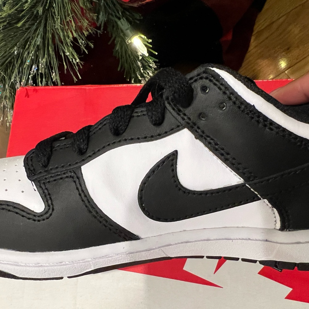 Nike Dunks Low Panda